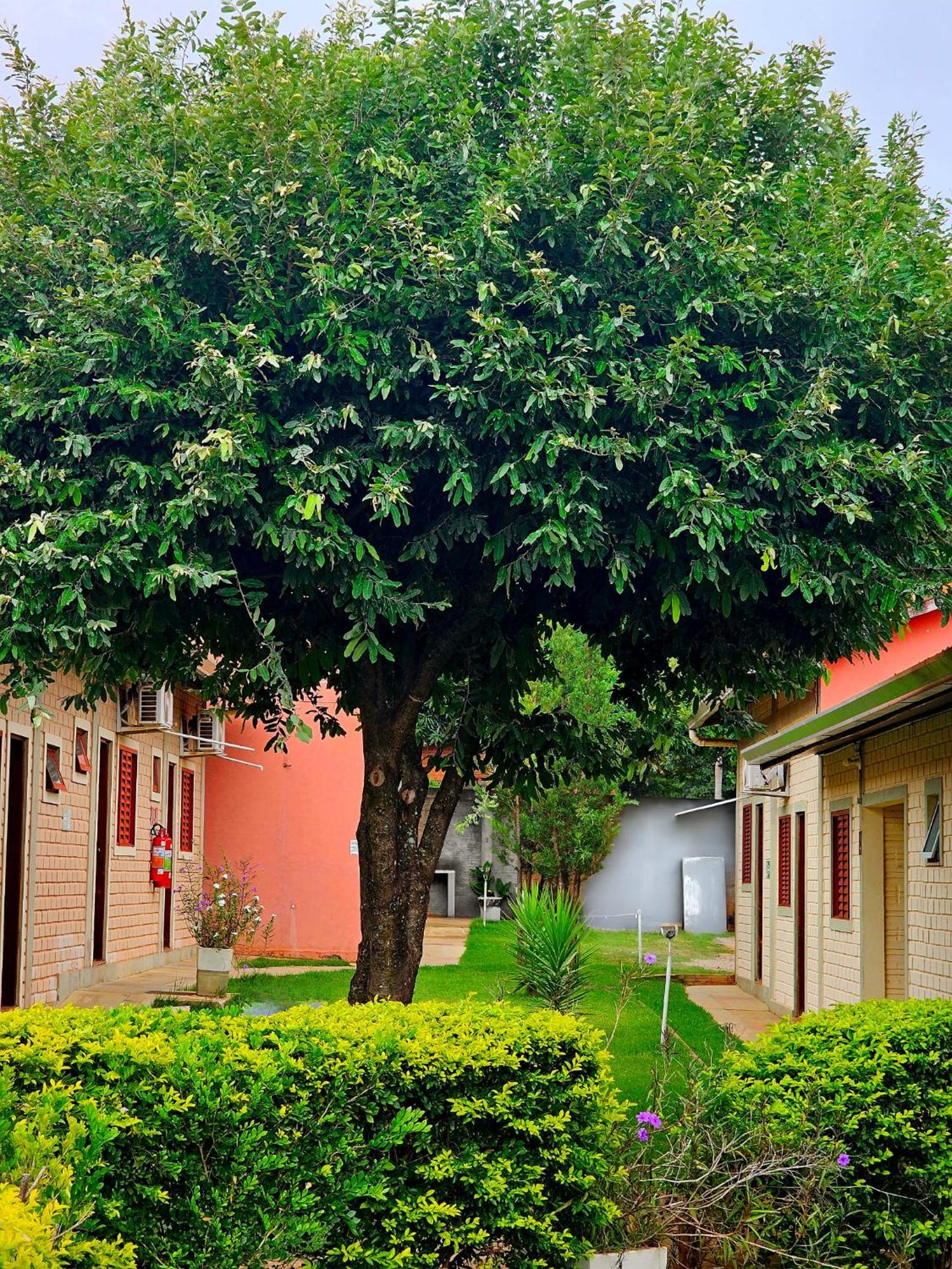 Bonito Hi Hostel E Pousada المظهر الخارجي الصورة